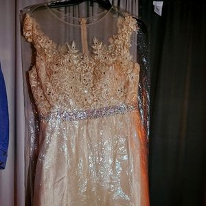 Prom/Homecoming Dress